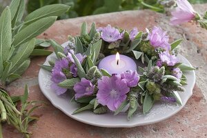 Kräuter-Blüten-Kränzchen aus Malva (Malven), Salbei (Salvia)