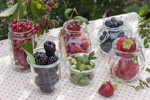 Frisch gepflückte Beeren in Gläsern: Erdbeeren (Fragaria), Brombeeren