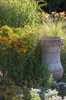 Helenium (Sunflower) with grasses and Greek amphora in a border