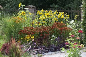 Gelb-rotes Terrassenbeet mit Stauden