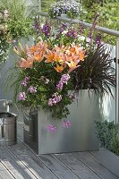 Large metal pot on balcony: Lilium asiaticum 'Passion Ladylike'