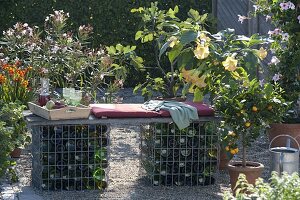 Homemade bench made of gabions filled with empty bottles