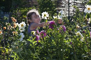 Mädchen pflückt Blumen für Spaetsommerstrauss