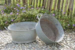 Planting rusted-through zinc tubs