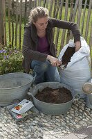 Planting rusted-through zinc tubs