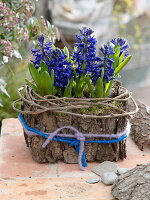 Plastic box with bark glued on as planter box