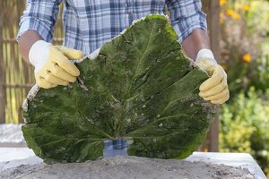 Make stepping stones for the garden