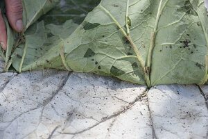 Trittsteine für den Garten selbermachen