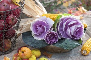 Erntedank-Arrangement mit Brassica (Zierkohl), Mais (Zea), Äpfeln