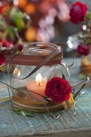 Autumn lantern with red blossom of Rosa (rose), leaves