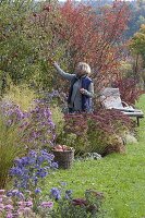 Herbstbeet mit Apfelbaum, Felsenbirne und Stauden