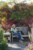 Bench at the border with perennials and woody plants