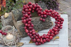 Heart of ornamental apples (Malus) leaning against firewood, small glass as lantern