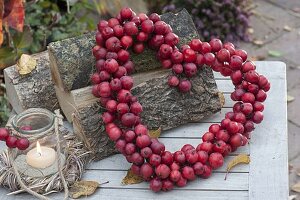 Herz aus Zieräpfeln (Malus) an Brennholz gelehnt, kleines Glas als Windlicht