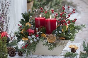 Weihnachtliches Kerzengesteck mit Rosa (gewachster Rose), Zweigen von Ilex