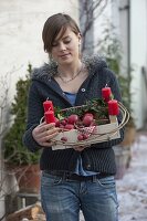 Frau mit Obstiege als ungewöhnlicher Adventskranz gefüllt mit Äpfeln