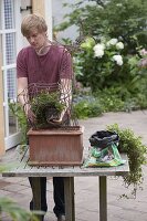 Young man planting ivy on wire frame moose