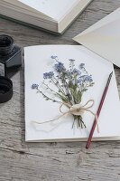 Greeting card frame with pressed forget-me-not