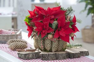 Christmas star in pine cone vase