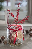 Amaryllis grown in glass with pebbles