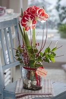 Amaryllis grown in glass with pebbles