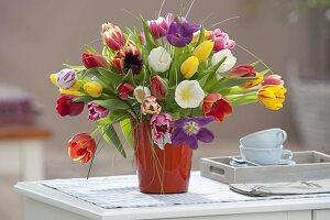 Bunter Strauss mit farblich gemischten Tulipa (Tulpen) in roter Vase