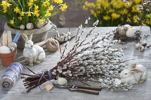 Bouquet of Salix caprea (Palm catkin, Catkin willow)