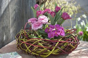 Tulipa 'Lilac Perfection' (Tulpe), Ranunculus (Ranunkel) und Primula