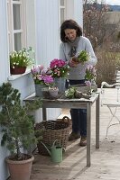 Frau arrangiert rosa Frühlings-Tisch auf der Terrasse