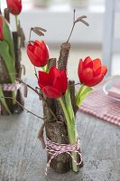 Tulipa (Tulpen) in Glasröhrchen mit Zweigen von Corylus avellana