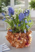 Bulb bowls, planter for bulb flowers in enamel bowl