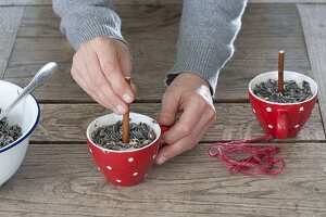 Birdseed in different hanging containers