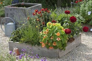 Quadratbeete - Square Garden auf Betonpflaster bauen