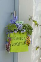 Spring wonder bag with Viola wittrockiana (Pansy), parsley