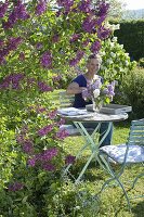 Seat under lilac bush