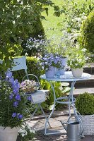 Kleine Terrasse mit blauem Tisch und Stuhl, Viola cornuta 'Blue' (Hornveilchen)