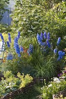 Beds with hazel wickerwork edging