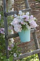 Early summer bouquet of Paeonia lactiflora (peonies), Campanula