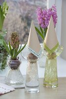 Hyacinthus (hyacinths) grown on hyacinth jars with water