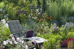 Liegestuhl im Naturgarten mit Sommerblumen: Centaurea (Kornblumen)