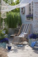 Maritime terrace with gold bar grass and lavender