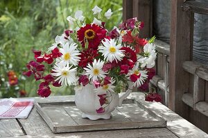 Red and white bouquet of Leucanthemum x superbum (daisies), Zinnia