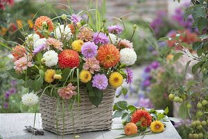 Frisch geschnittene , bunte Mischung Dahlia (Dahlien) aus dem Bauerngarten