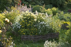 White-yellow bed with hazel wickerwork border