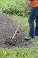 Prairiebeet mit einjaehrigen Sommerblumen anlegen