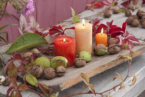 Kerzen auf gebogenem Holzbrett, dekoriert mit Walnüssen (Juglans regia)