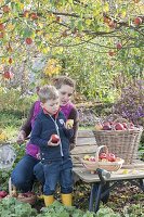 Woman with children harvesting apples