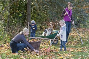 Laub rechen mit Kindern und Hund