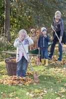 Leaf raking with children and dog