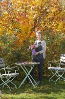 Small seating area with bouquet of asters in front of ironwood tree and ornamental apples